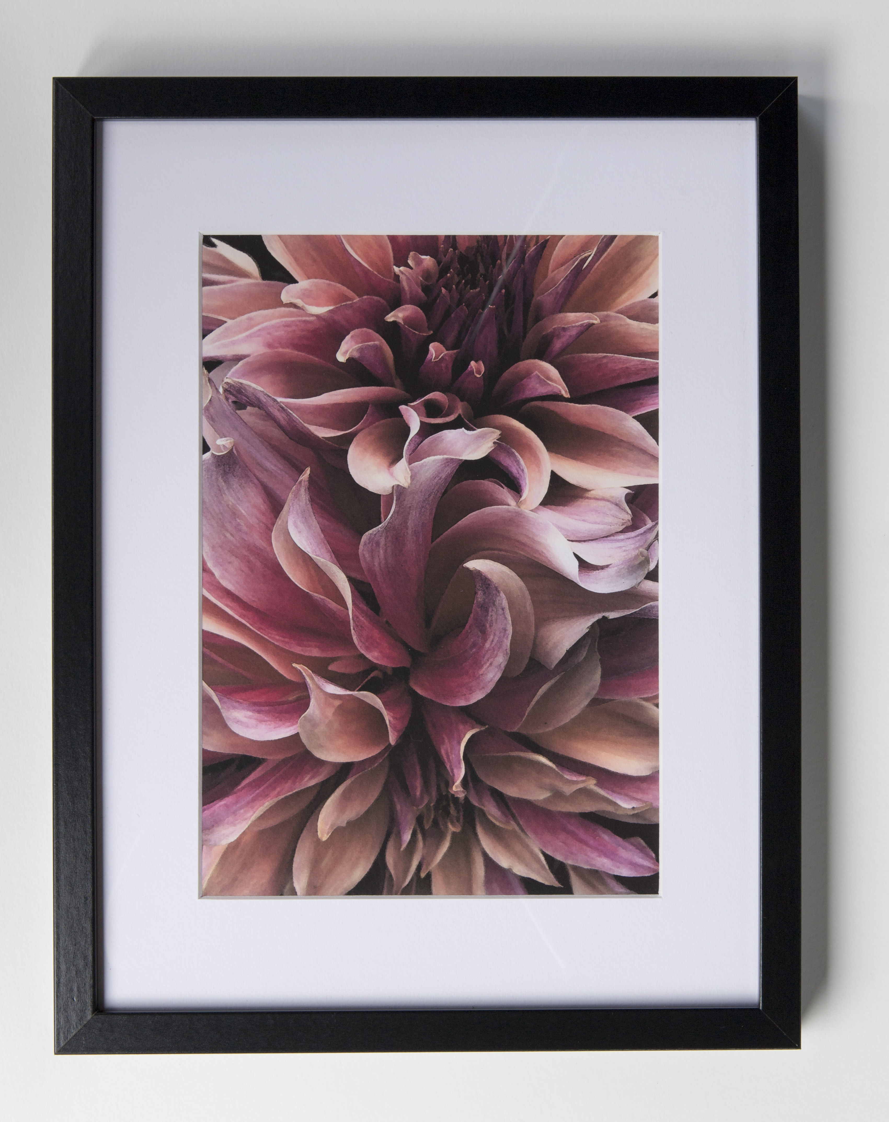 KateDawes-DahliaWaves