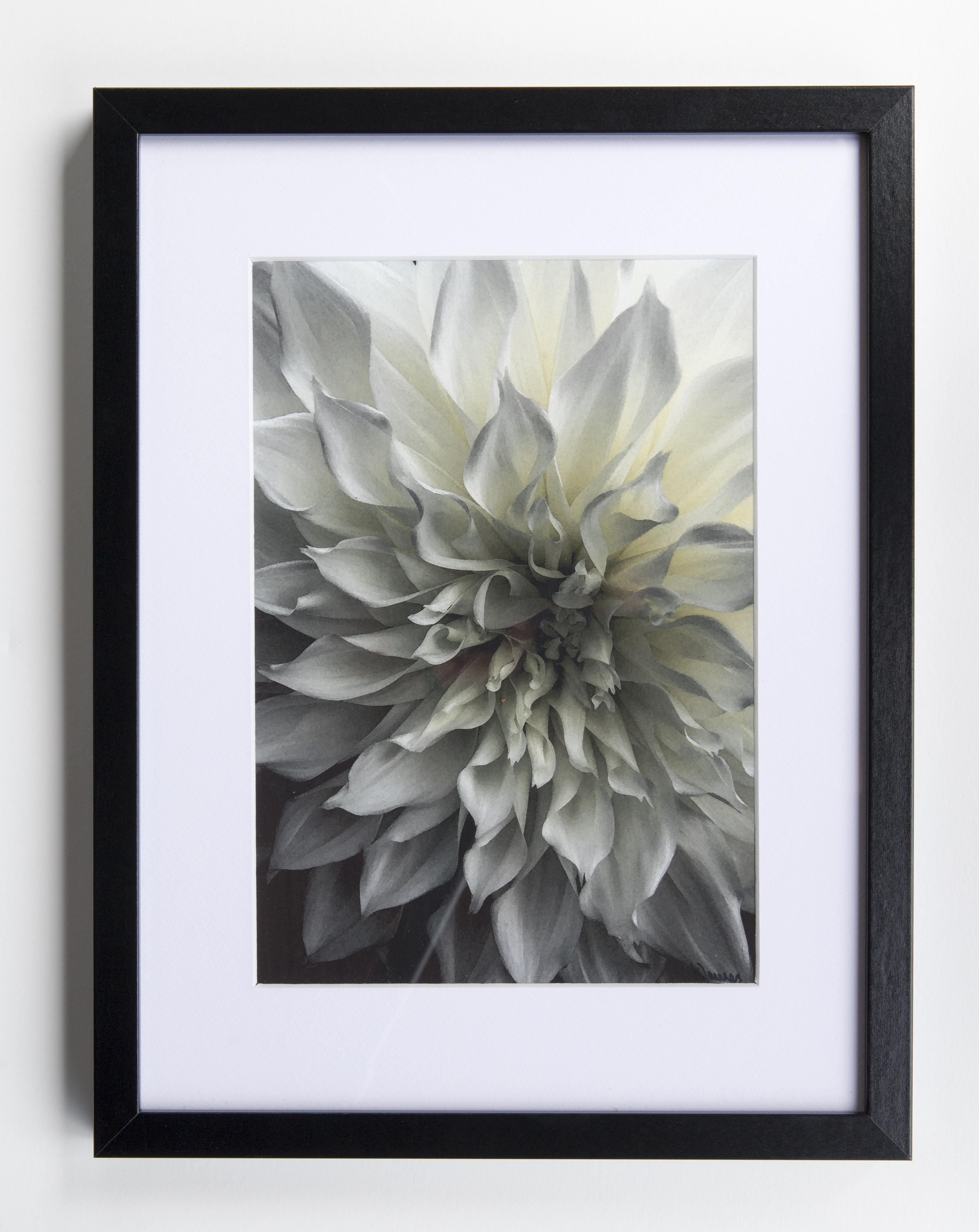 KateDawes-WhiteWaves