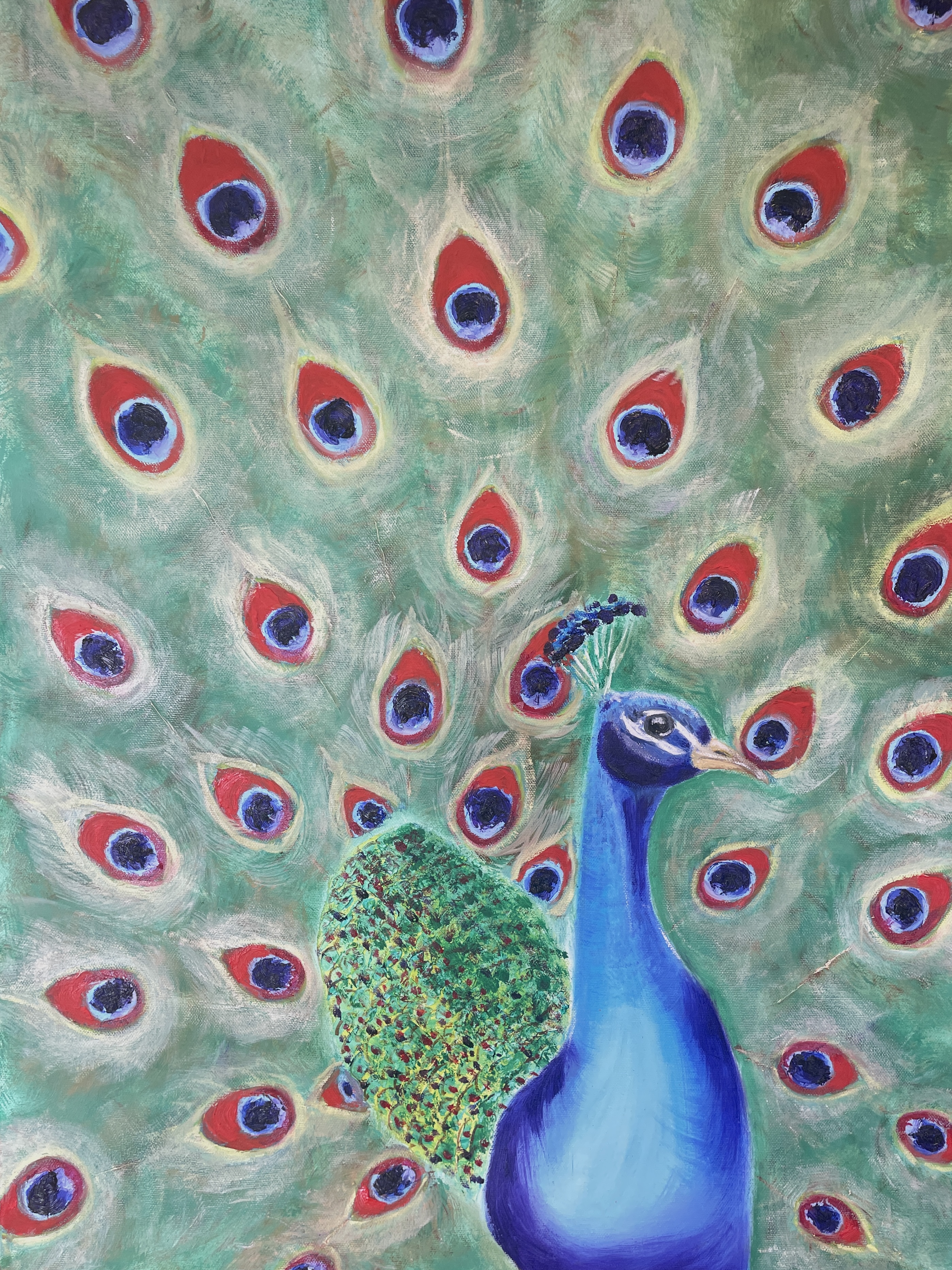Peacock